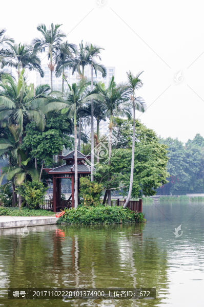 廣州荔灣湖公園景觀