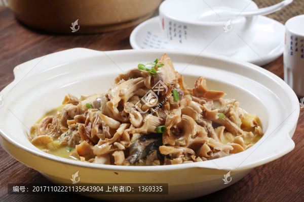 干雞油菌