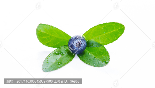 甜,藍莓,新鮮,新鮮水果,藍