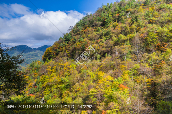 神農(nóng)架天燕風(fēng)景區(qū)