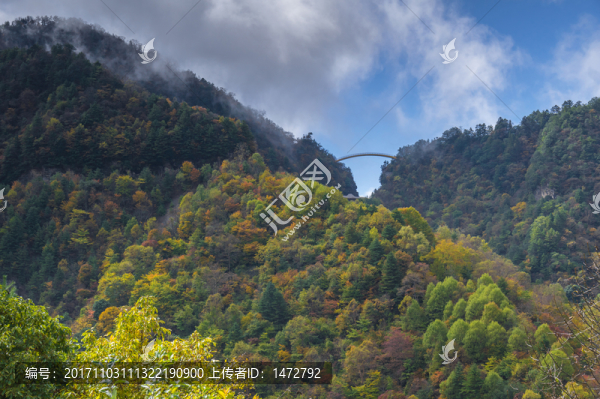 神農(nóng)架天燕風景區(qū)