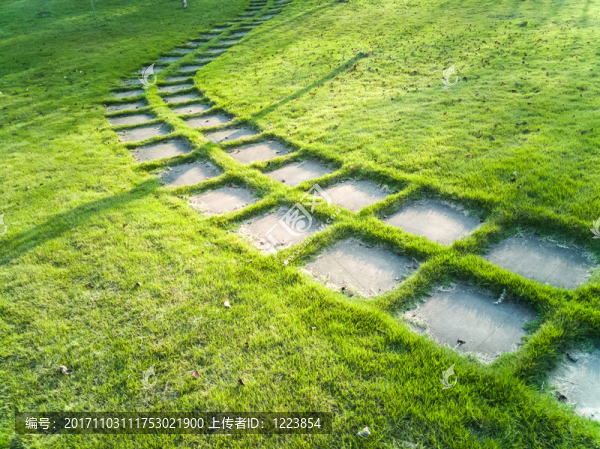 陽光草坪小路