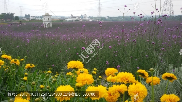 成都香薰山谷