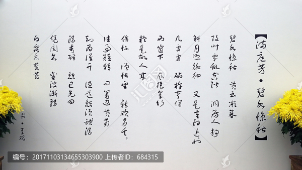 菊展,碧云天