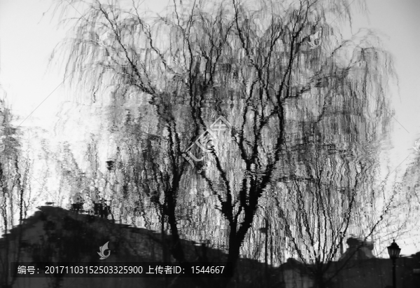 水墨垂柳