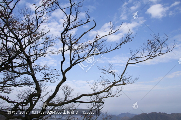 孤獨(dú)