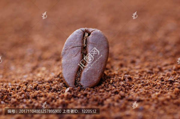 焦點(diǎn)咖啡豆