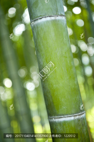 細節(jié)