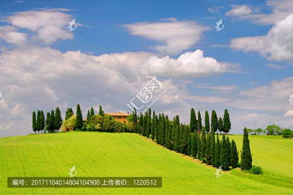 podere,30