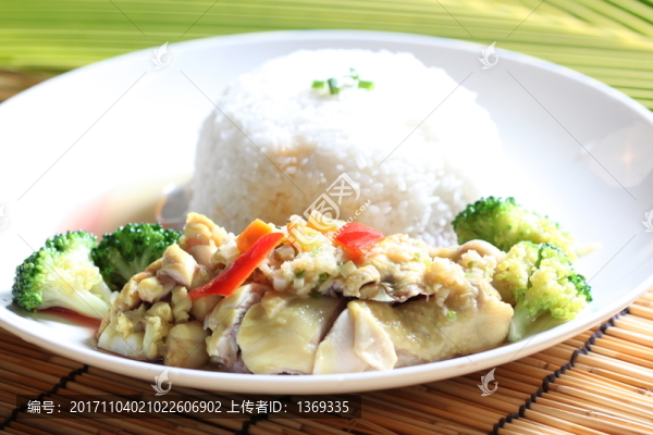 客家咸雞飯