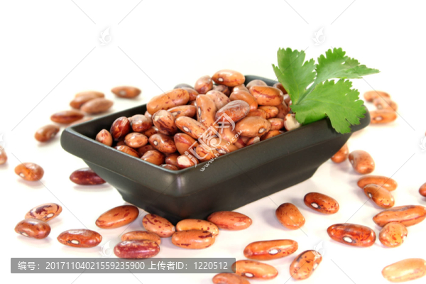 斑豆