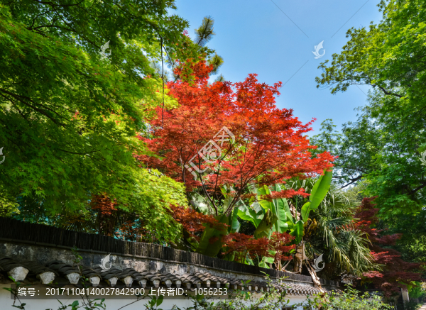 鎮(zhèn)江焦山