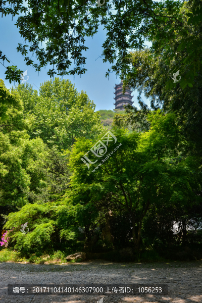 鎮(zhèn)江焦山