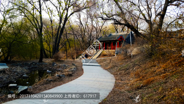 小路,園林景觀