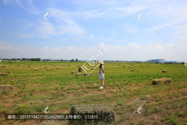 草捆