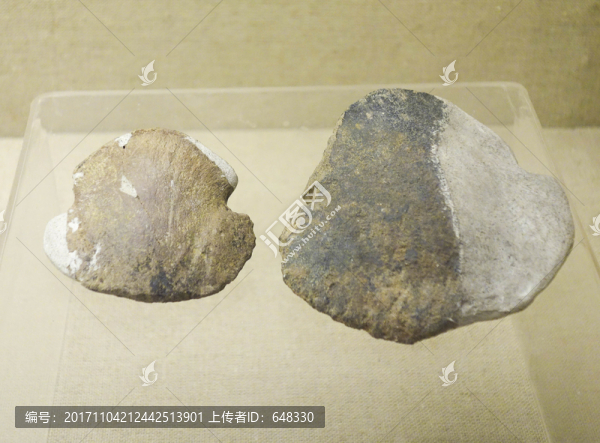 恐龍趾骨嘉蔭縣龍骨山