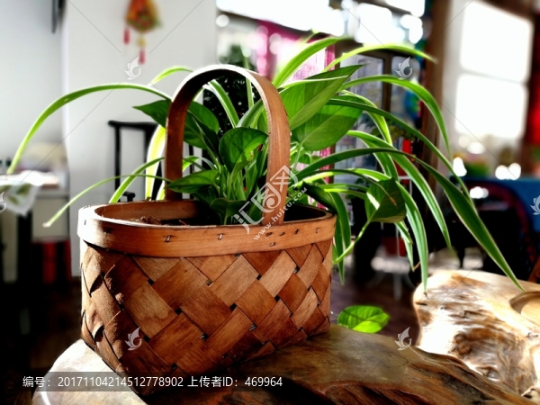 花籃