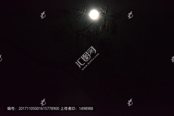 月夜