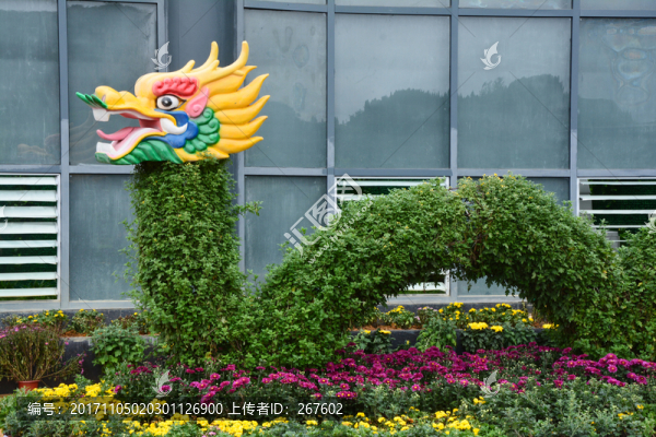 龍頭