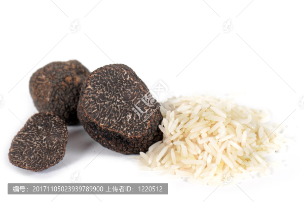 塊莖