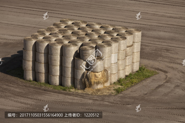 田間的草捆