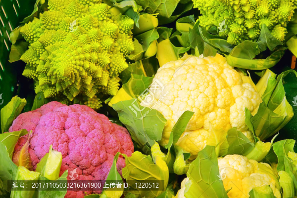 菜花02