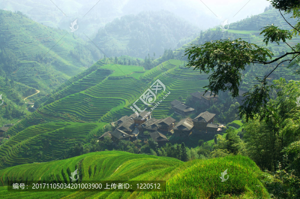 農(nóng)業(yè)