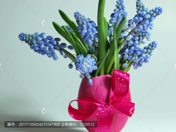 帶花的復(fù)活節(jié)彩蛋