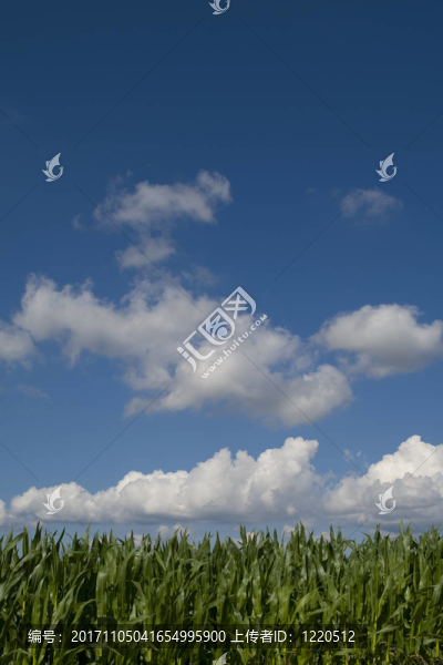 農(nóng)業(yè)