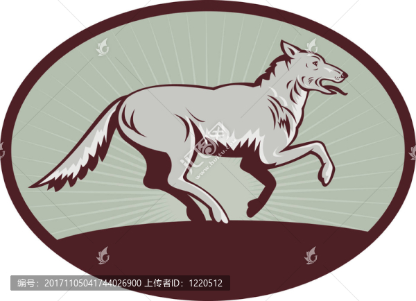 野生的狗