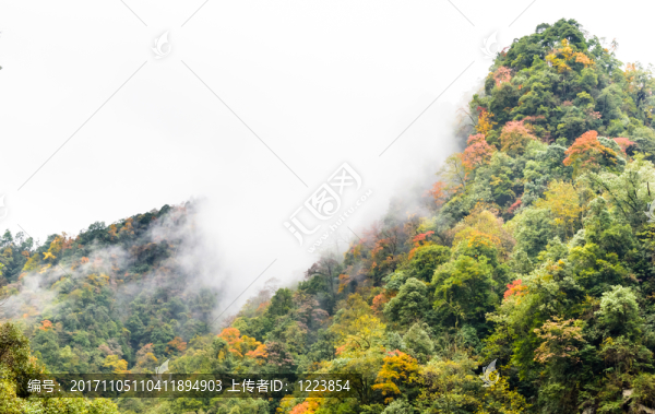 燕子巖