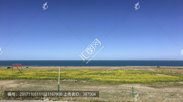 青海湖,高原湖泊