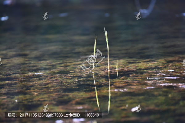 秋日風(fēng)景