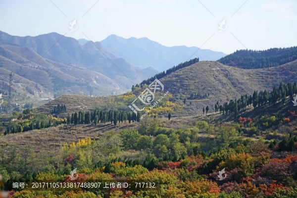 山景