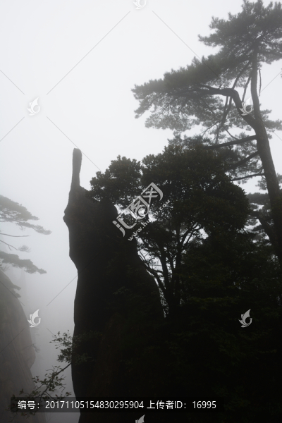 三清山風(fēng)光攝影,霧中的三清山