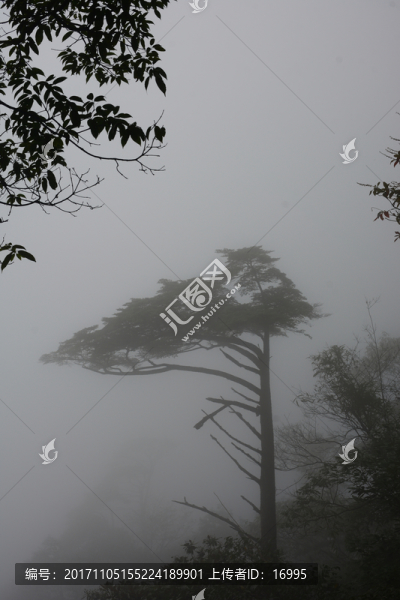 三清山風(fēng)光攝影,霧中的三清山