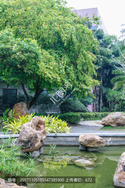 流花湖公園景觀