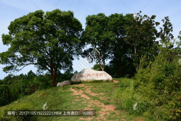 鄱陽湖,鄱陽湖濕地公園