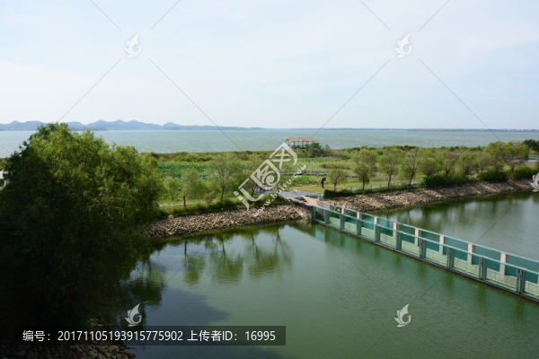 鄱陽湖,鄱陽湖濕地公園