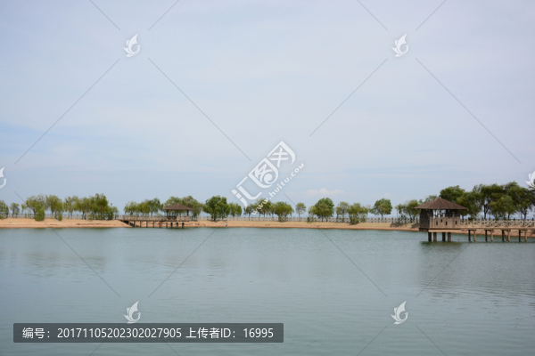 鄱陽湖,鄱陽湖濕地公園