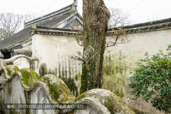 拙政園園景
