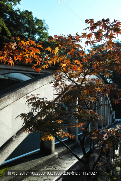 日本箱根