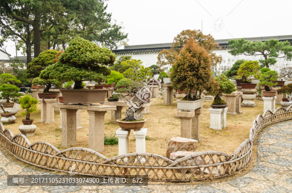 拙政園盆景