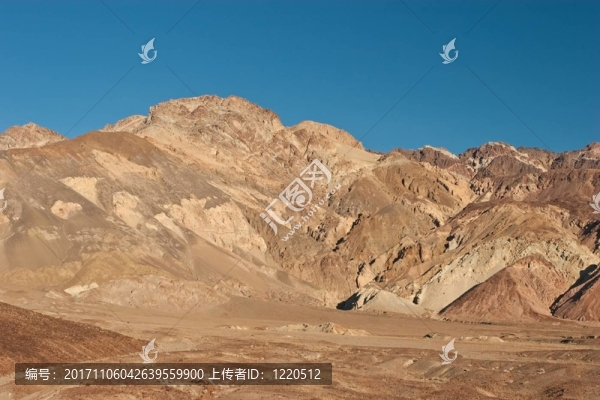 旅游
