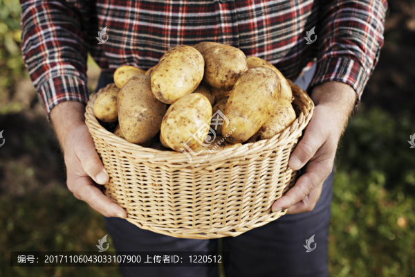 食品