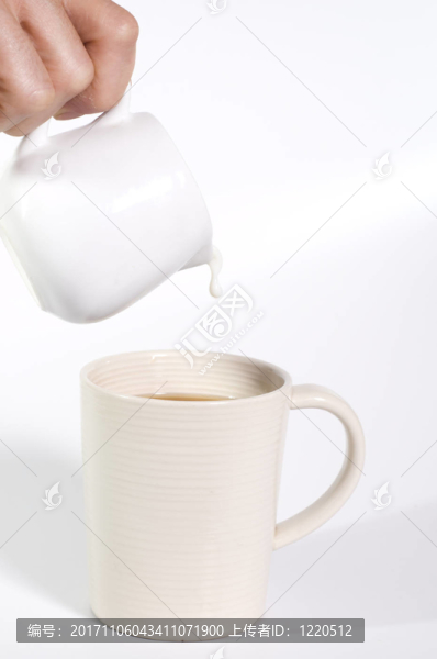 茶