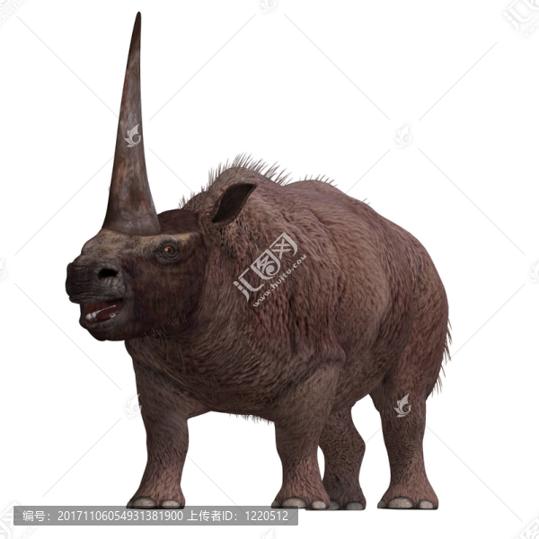 大的
