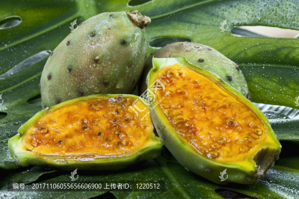 維生素