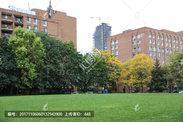 學(xué)校建筑,多倫多大學(xué),草坪