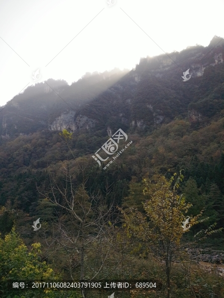 高山綠樹
